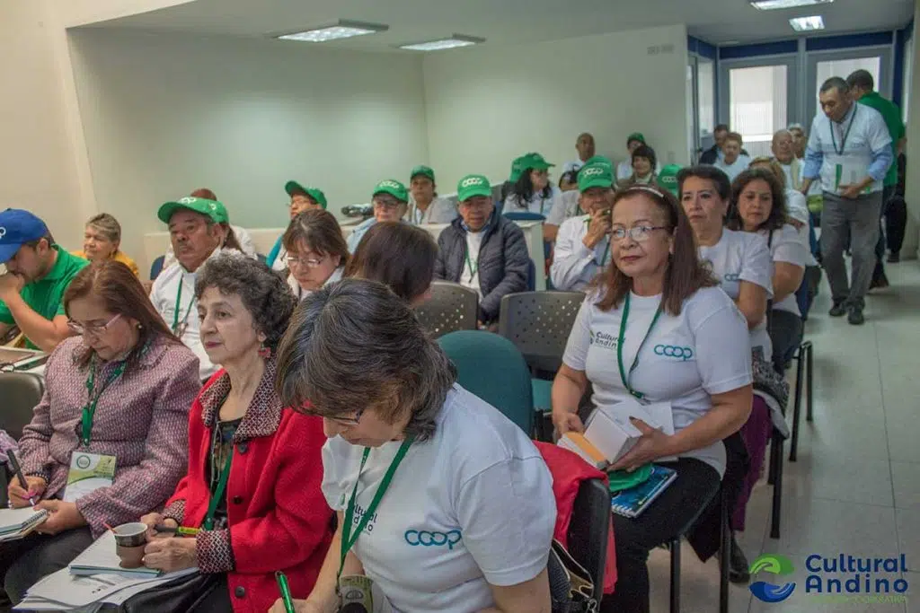 cooperativas qué son